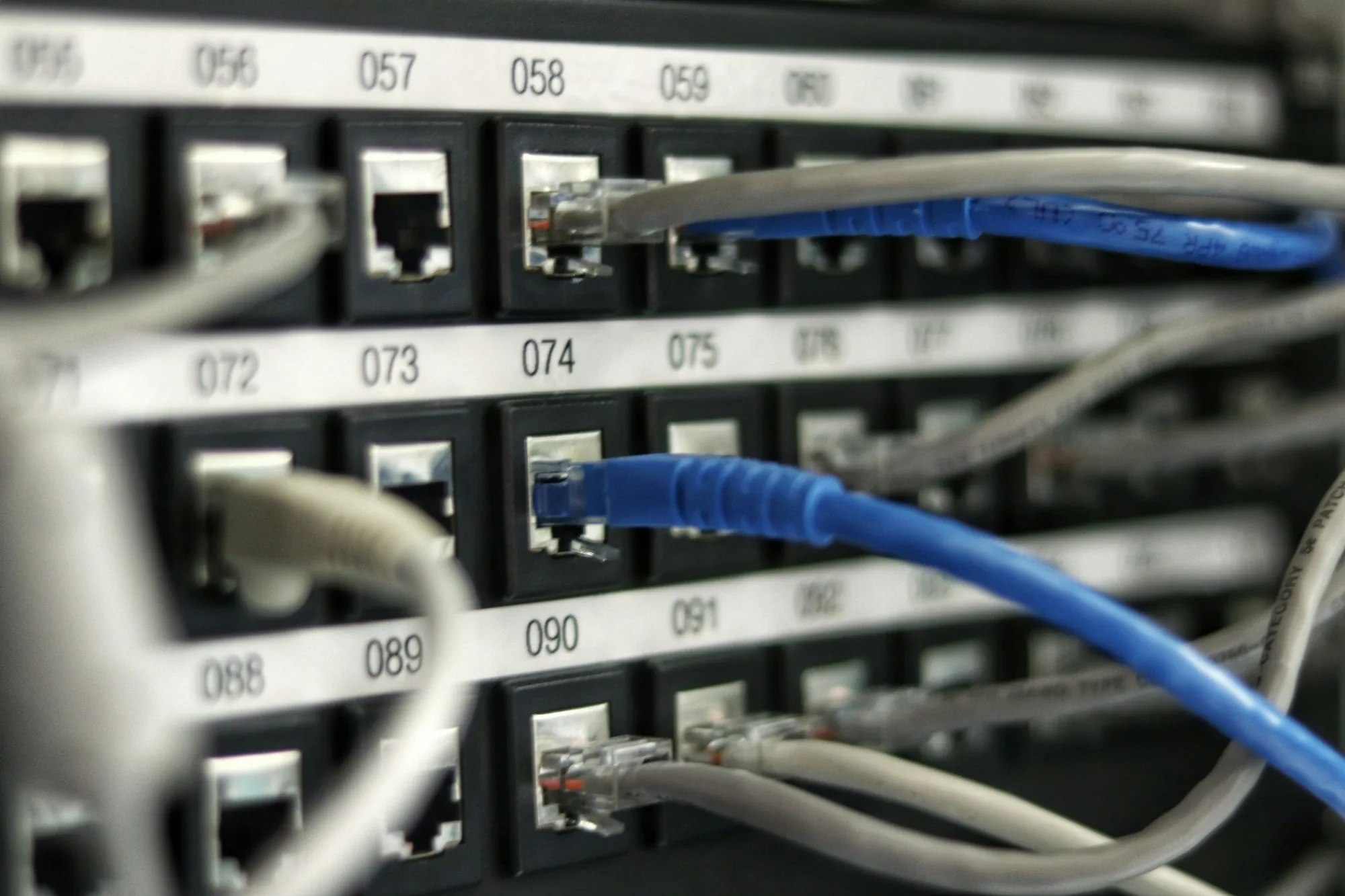 Blue network cables in a switch